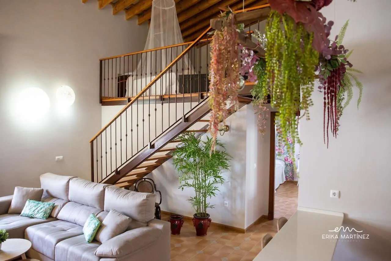Jerez Centro Mrz Rentals Apartment Jerez de la Frontera