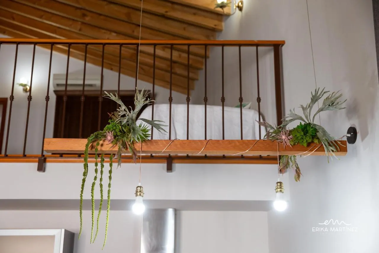Jerez Centro Mrz Rentals Apartment