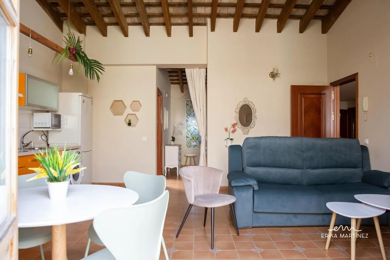 Jerez Centro Mrz Rentals Spain