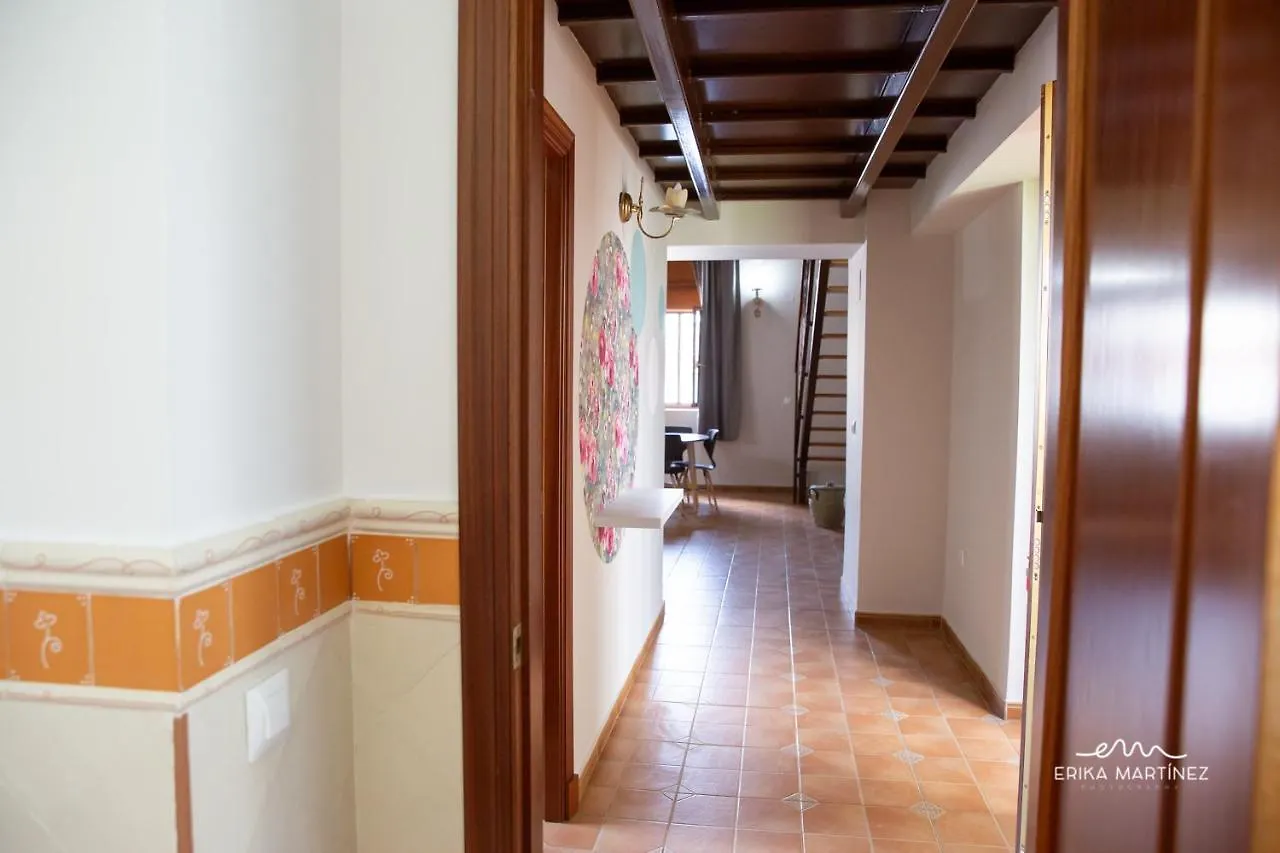 Jerez Centro Mrz Rentals 0*, Jerez de la Frontera