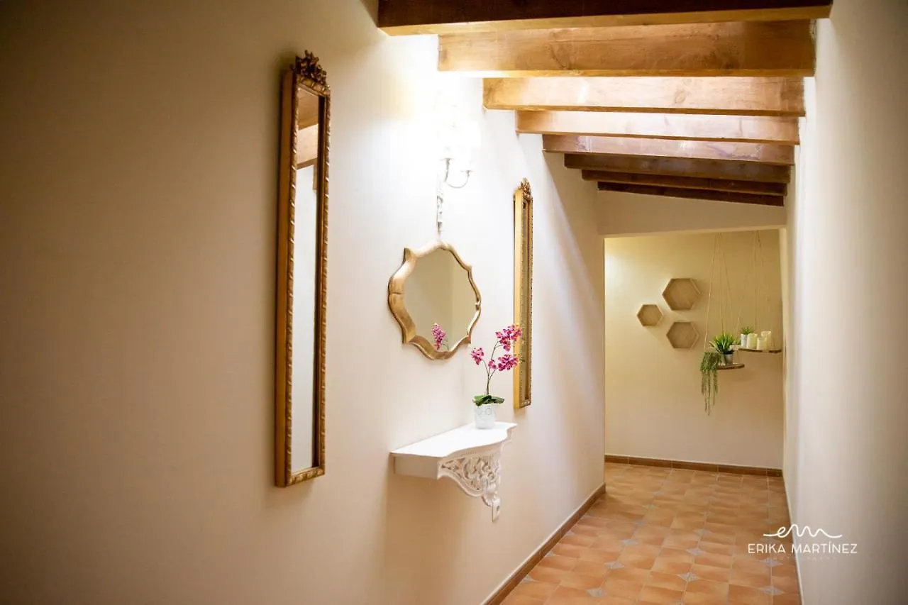 Jerez Centro Mrz Rentals Apartment