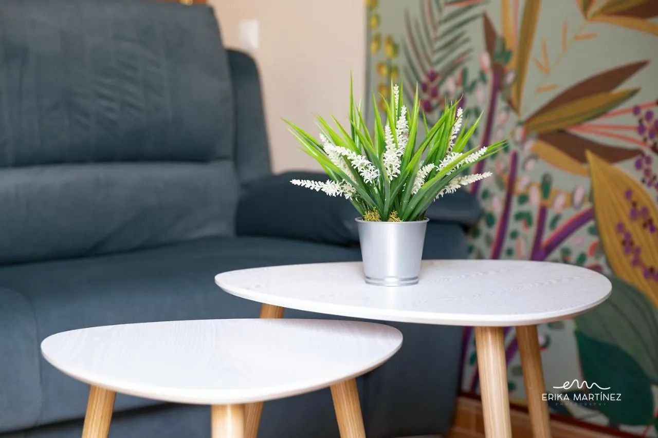 Apartment Jerez Centro Mrz Rentals