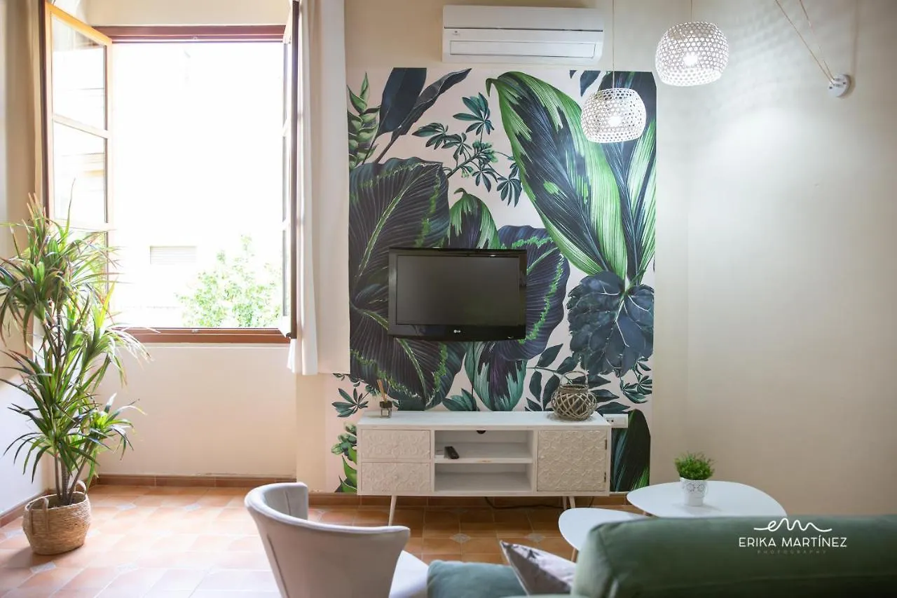 Jerez Centro Mrz Rentals Jerez de la Frontera Appartement